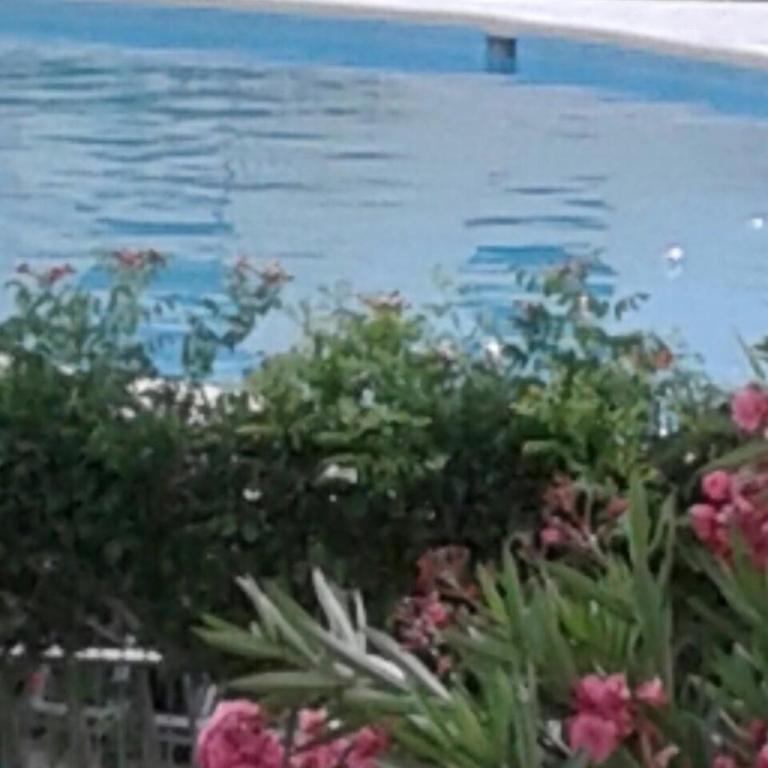 Alghero casa con piscina lido fronte mare - Casa Vacanze - 11