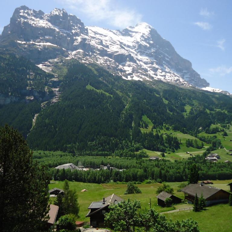 Hotel Tschuggen - Doppelzimmer mit Balkon und Blick auf den Eiger - 15