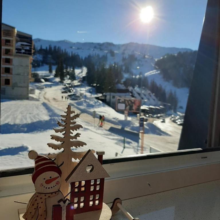 Snowman Studio Apartment Jahorina - One-Bedroom Apartment - 12