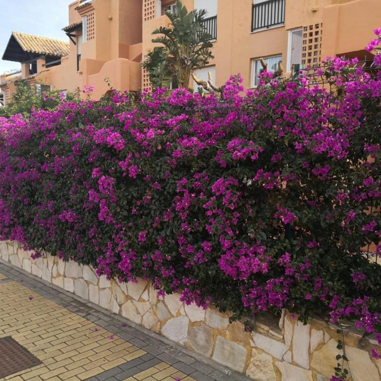 Meerblick Casares del Sol - Apartamento de 2 dormitorios - 37