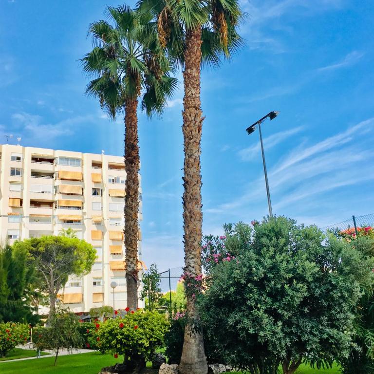 PERFECTO PAREJAS/FAMILIAS. A 500 METROS PLAYA - Appartement 1 Chambre - 44