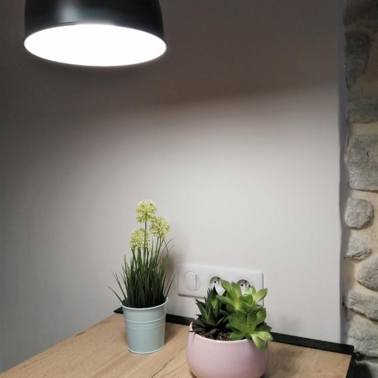 Le Petit Studio - 15 m2 - Centre Ville - Sorgue à 50 m - Estudio Superior - 7