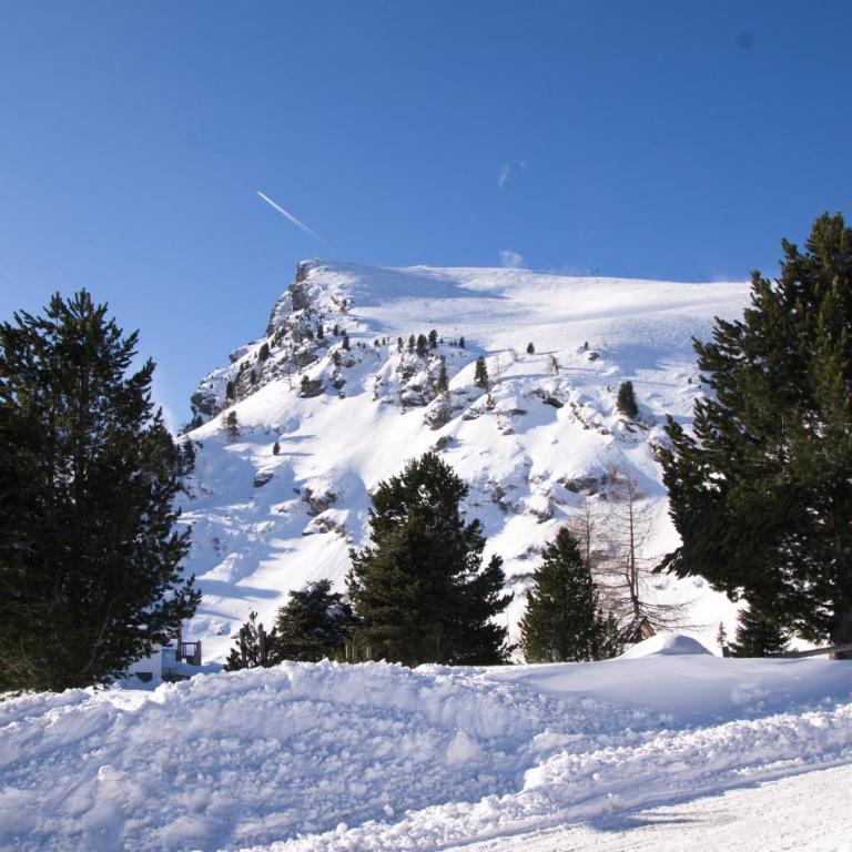 Falkert-Hütte „Beim Almöhi" - Chalet mit Bad - 16