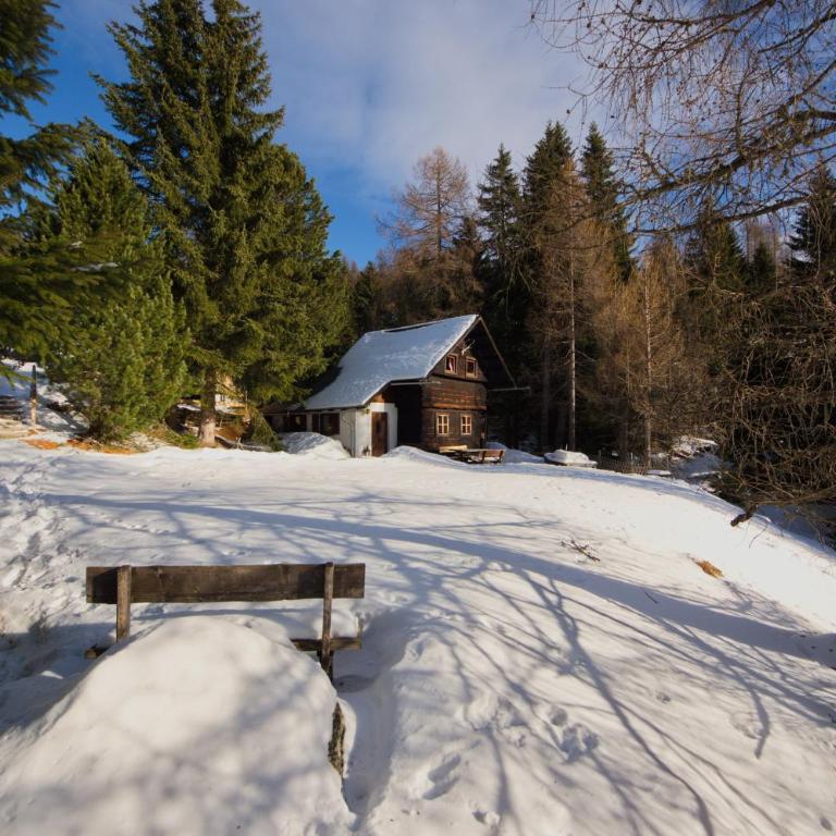 Falkert-Hütte „Beim Almöhi" - Chalet mit Bad - 3