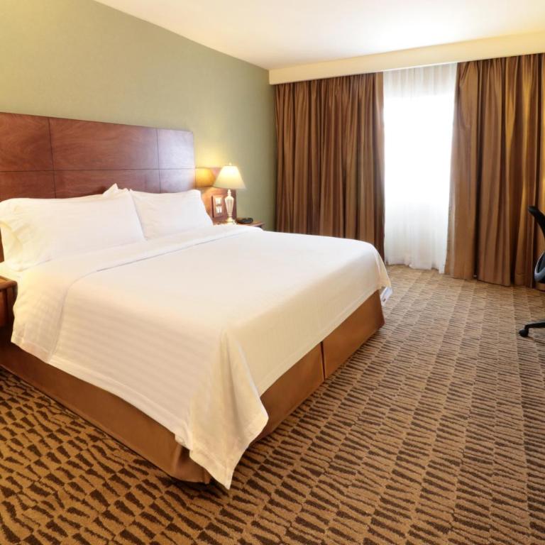 Holiday Inn Monterrey Norte by IHG - Habitación Estándar - Cama extragrande - 1