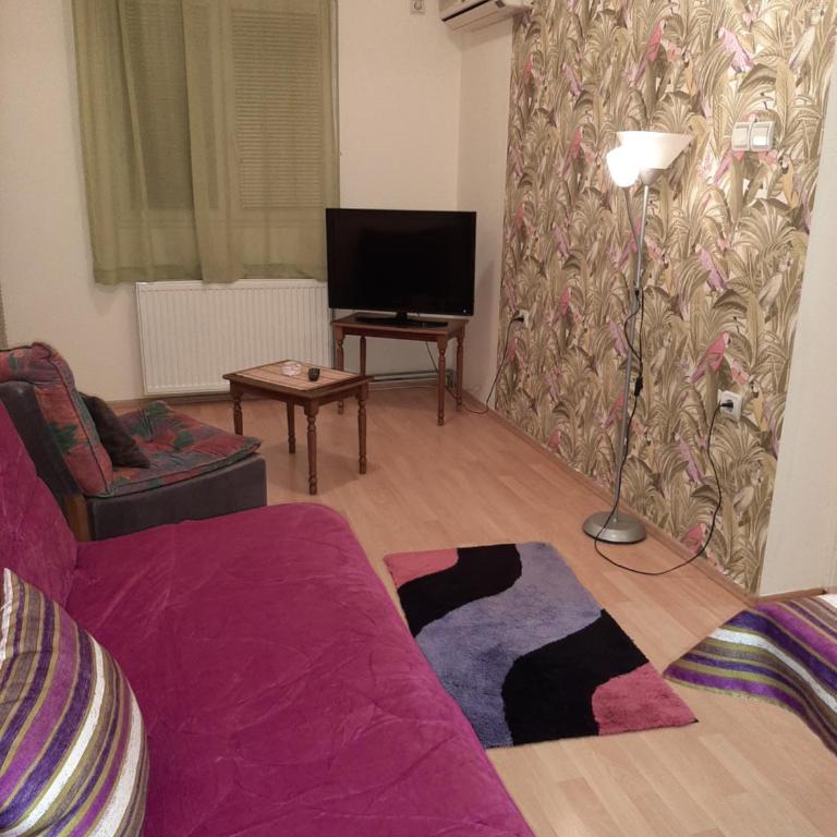 Apartment Matovic - Apartment with Balcony - 3