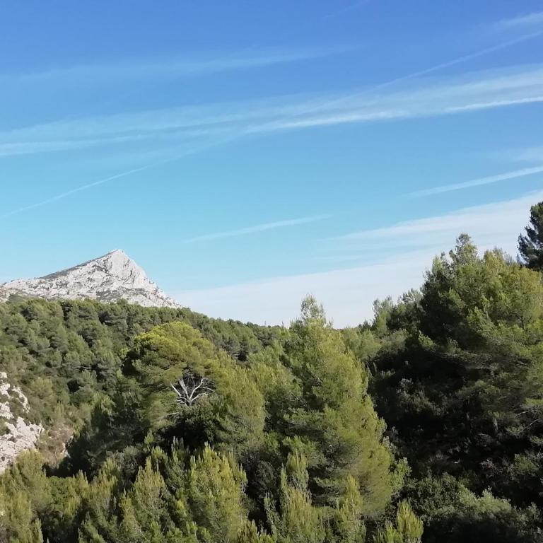 Sweet Home Studio Aix en Pce, clim,terrasse,piscine,pkg gratuit - Studio avec Terrasse - 52
