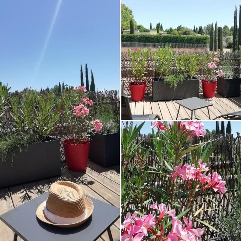 Sweet Home Studio Aix en Pce, clim,terrasse,piscine,pkg gratuit - Studio avec Terrasse - 21