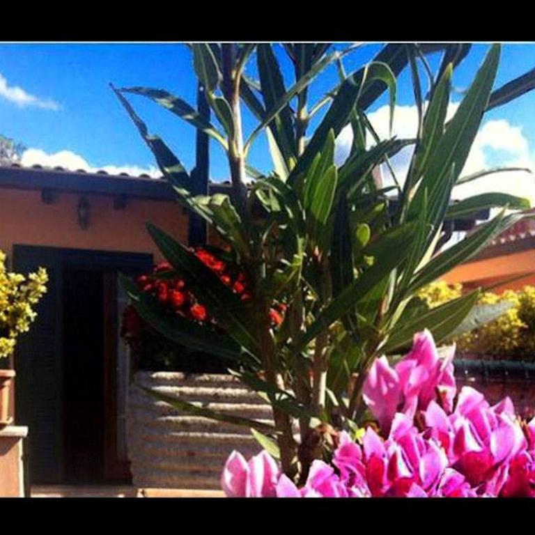 Aquila Di Mare - Casa con 1 Camera da Letto - 26