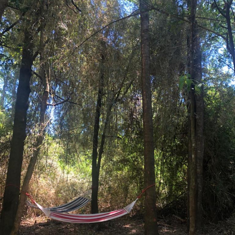 Domo Trasmahue - Casa de 2 dormitorios - 31