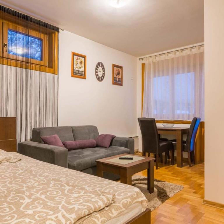 NEST Apartmani - One-Bedroom Apartment - 1
