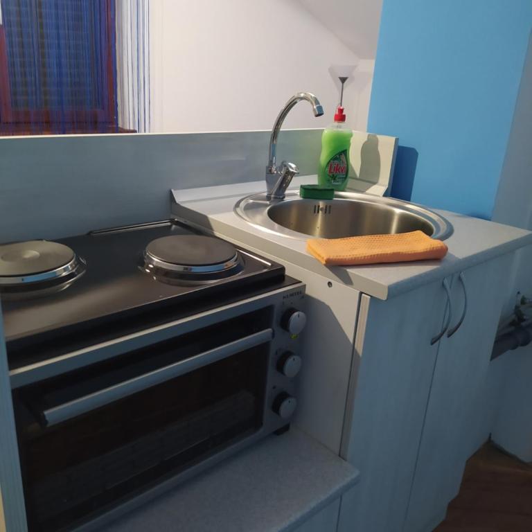 Apartmani Marić in Vrnjacka Banja - One-Bedroom Apartment - 17