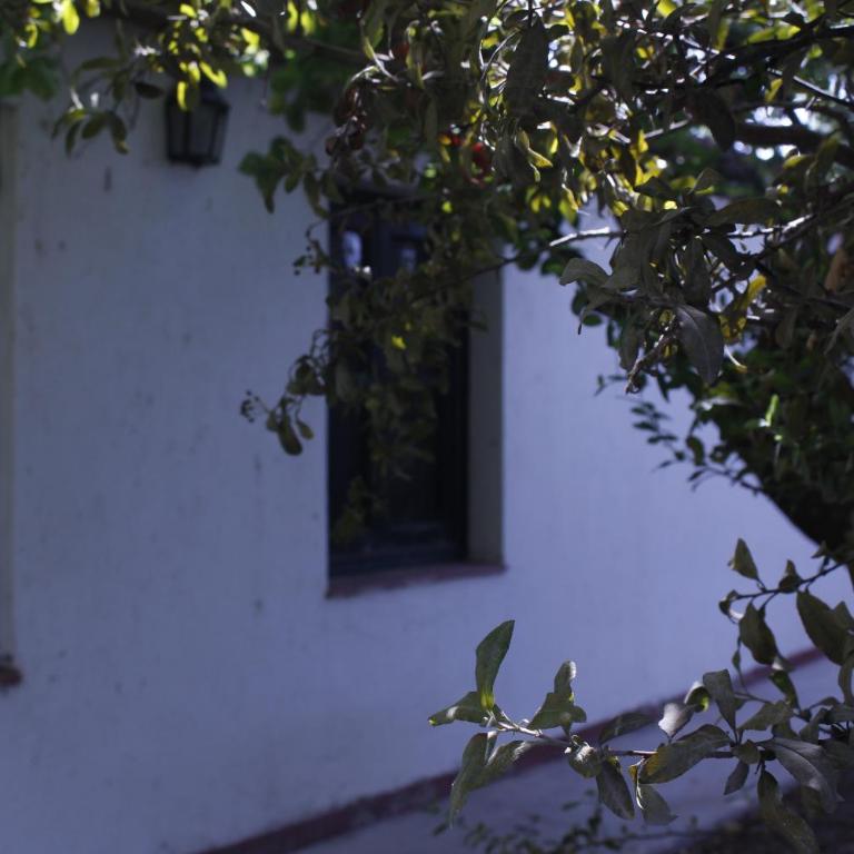 Cabaña en Olivar Centenario Agroecológico Tutuna - Casa de 2 dormitorios - 16