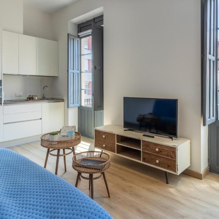 Balmis Plaza Apartments - Loft - 17