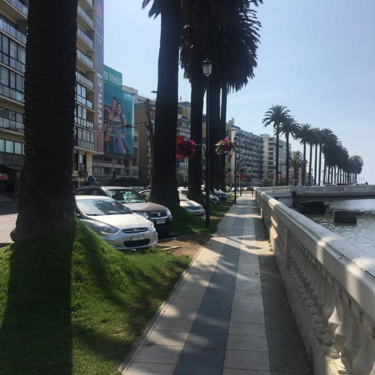 Avenida Marina 1 - Apartamento - 16