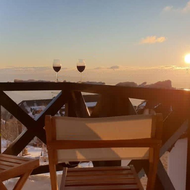 Apartman Kopaonik Buena Vista - One-Bedroom Apartment - 18