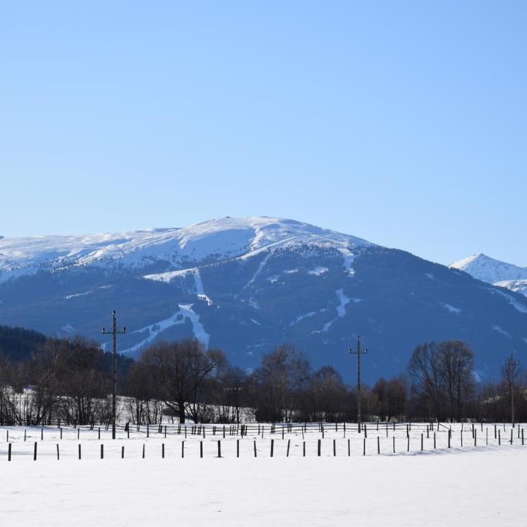 feels like home - Apartment mit Blick auf die Berge - 30