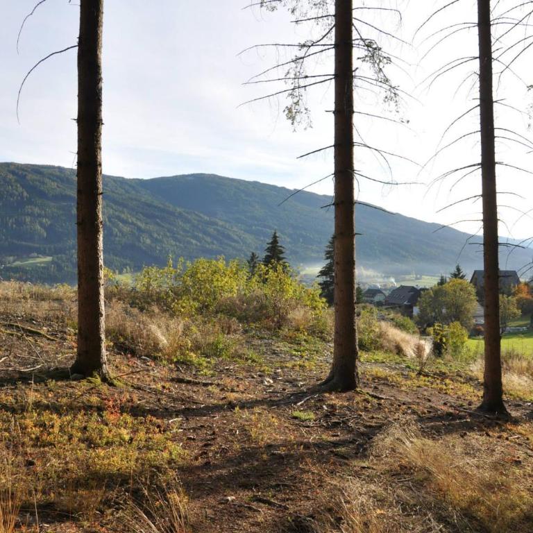feels like home - Apartment mit Blick auf die Berge - 14