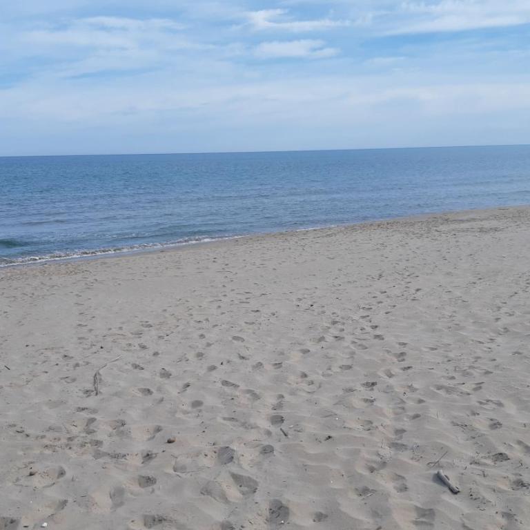 Exclusive Apartment - Playa de Marenys de Rafalcaid - Apartamento de 1 dormitorio - 34