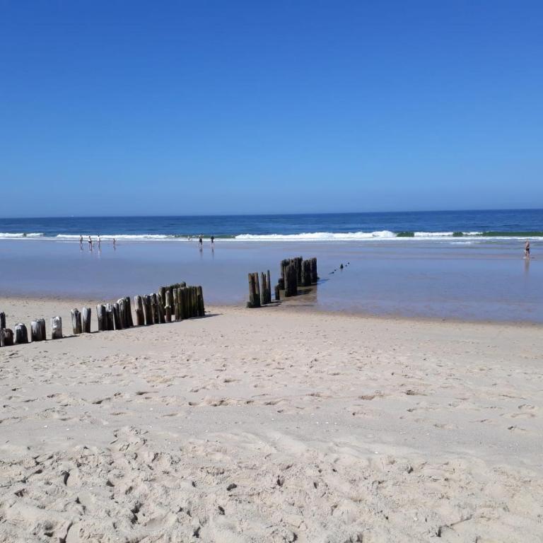 Exclusive Apartment - Playa de Marenys de Rafalcaid - Apartamento de 1 dormitorio - 36