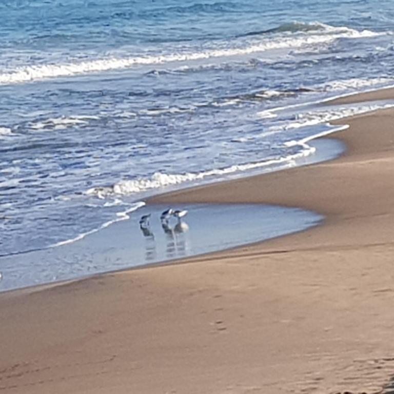 Exclusive Apartment - Playa de Marenys de Rafalcaid - Apartamento de 1 dormitorio - 47
