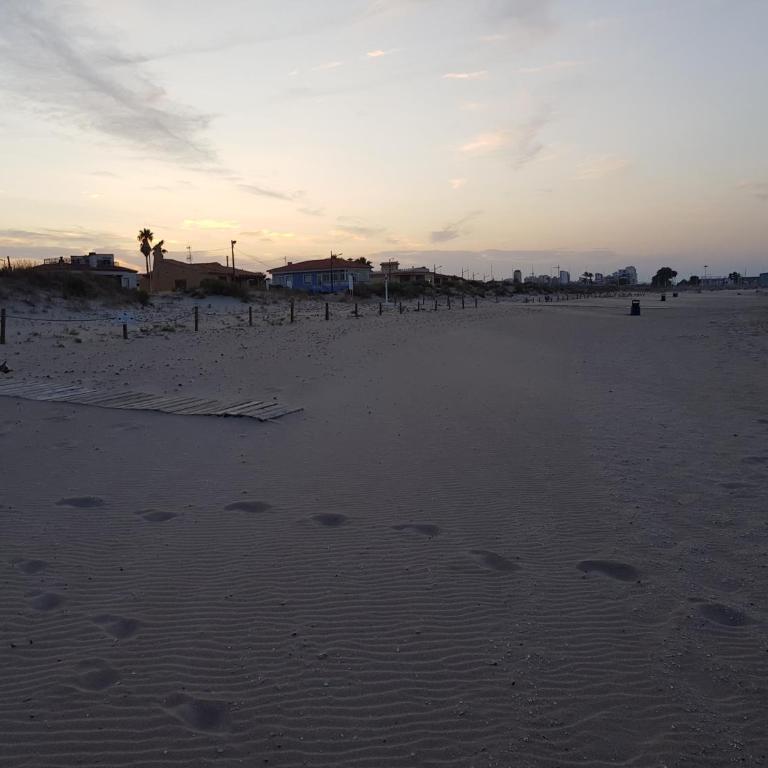 Exclusive Apartment - Playa de Marenys de Rafalcaid - Apartamento de 1 dormitorio - 55