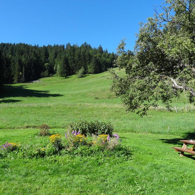 La ferme des ours - Chalet - 8
