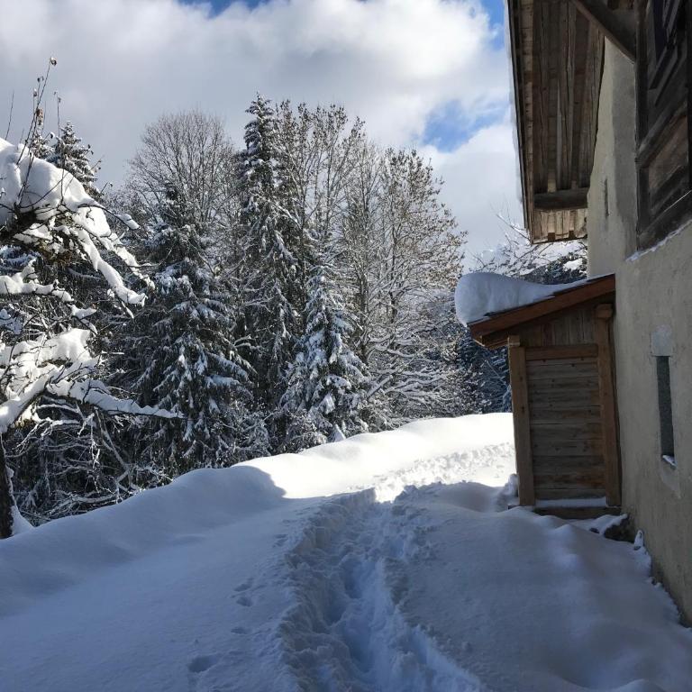 La ferme des ours - Chalet - 9