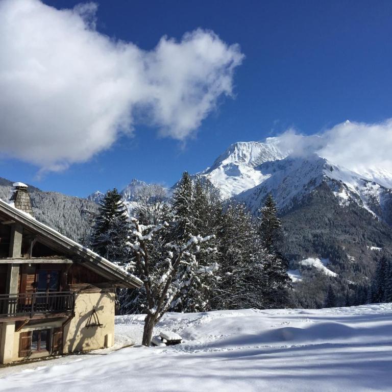 La ferme des ours - Chalet - 4