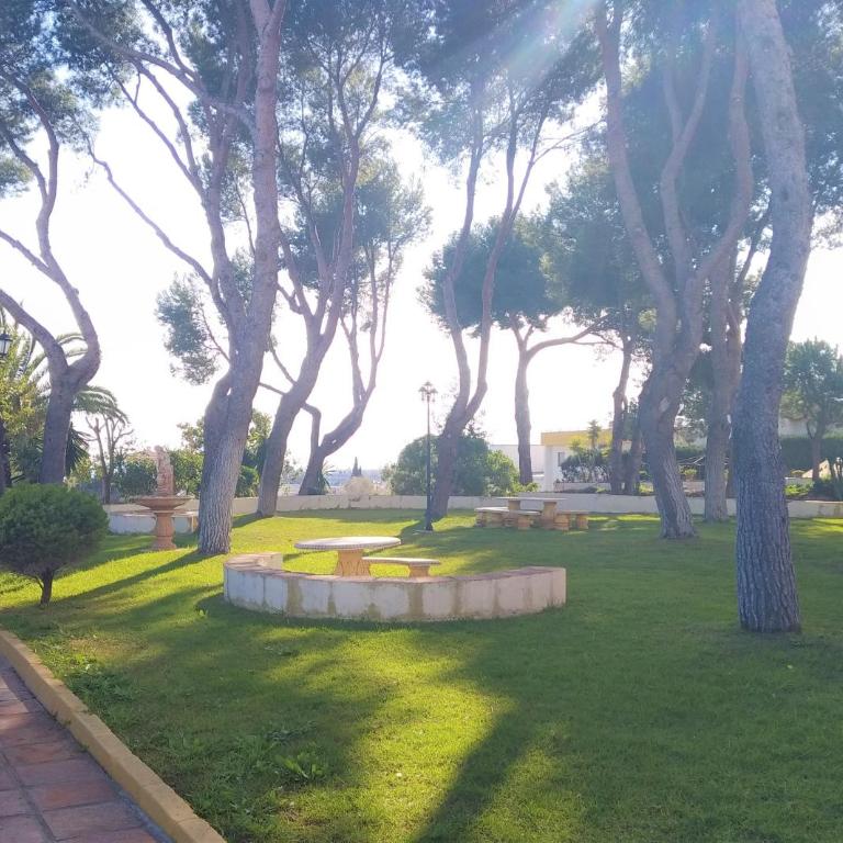 Apartamento Sol & Mar - Apartamento de 1 dormitorio - 7