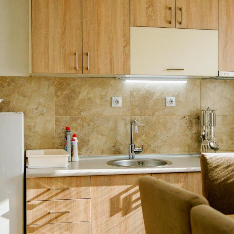 Apartment Petrović - One-Bedroom Apartment - 6