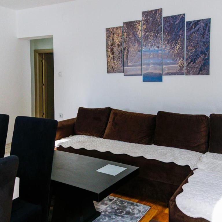 Apartment Petrović - Superior Apartment - 1