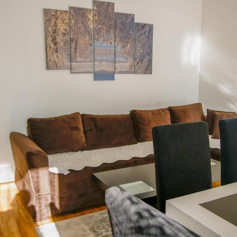 Apartment Petrović - Superior Apartment - 6