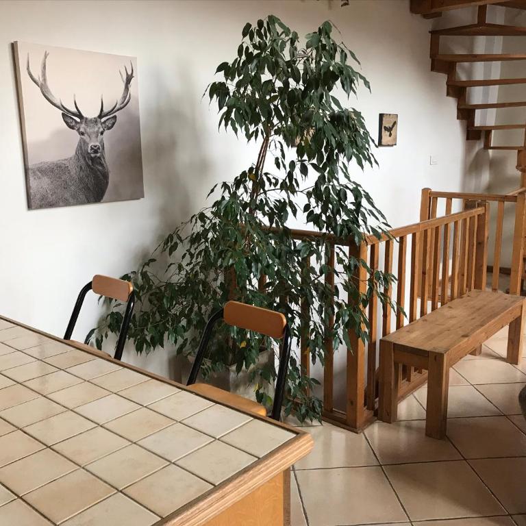 Ski Lodge - Maison 2 Chambres - 15