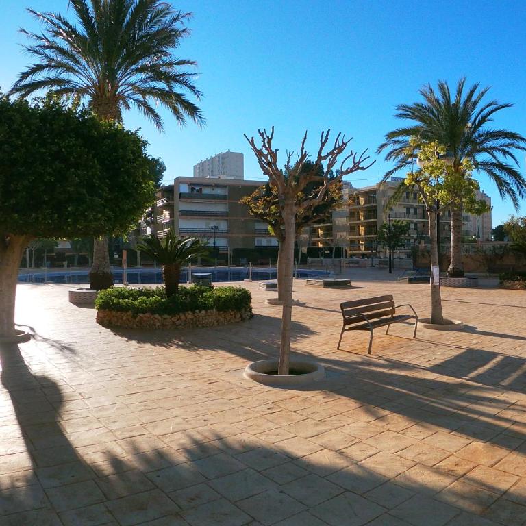 Apartamento urb 1 linea playa muchavista - Appartamento con 2 Camere da Letto - 10