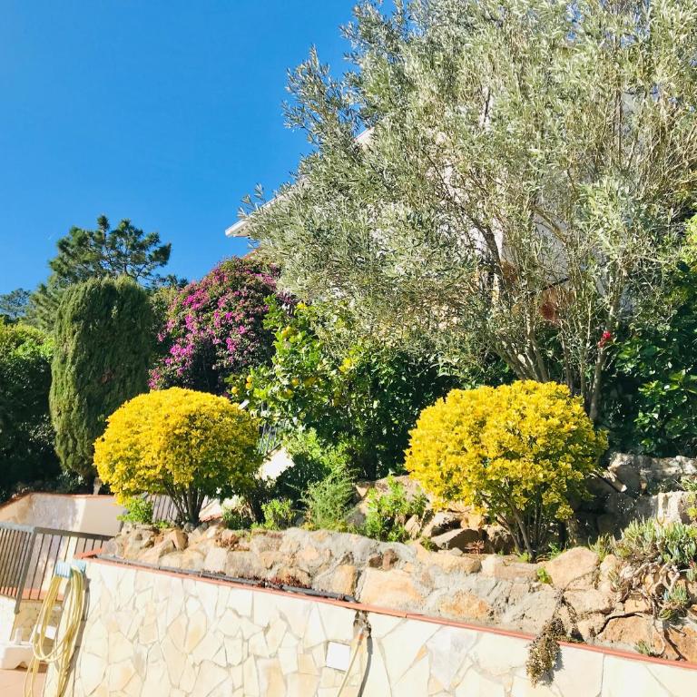 Mediterranean Villa Investingspain sea view and pool - Villa - 44