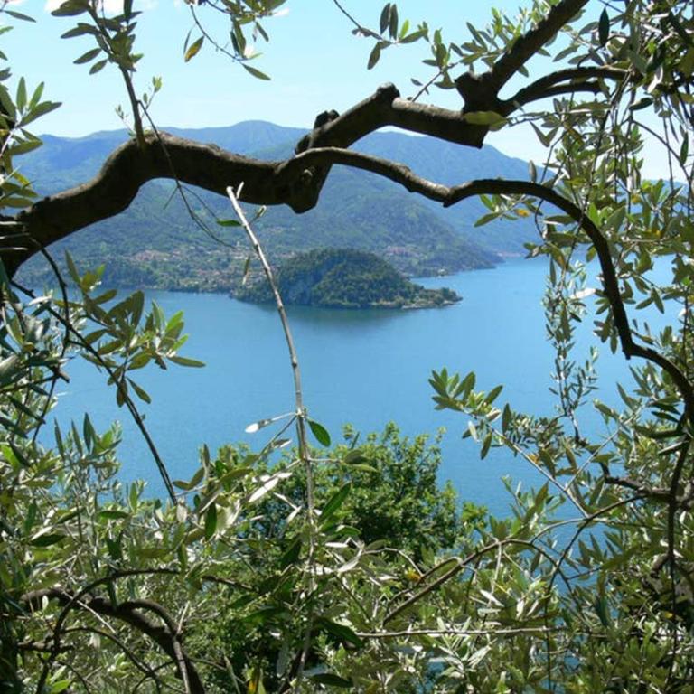 Luci sul Lago - A Real Paradise - Apartment mit 2 Schlafzimmern - 65