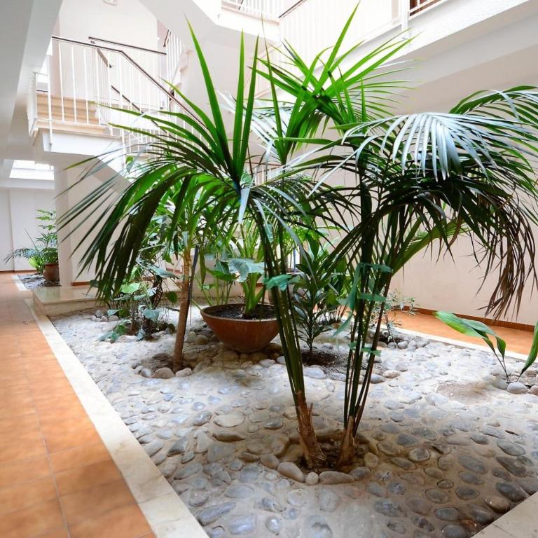 JARDINS DEL MAR 25 - Two-Bedroom Apartment - 5