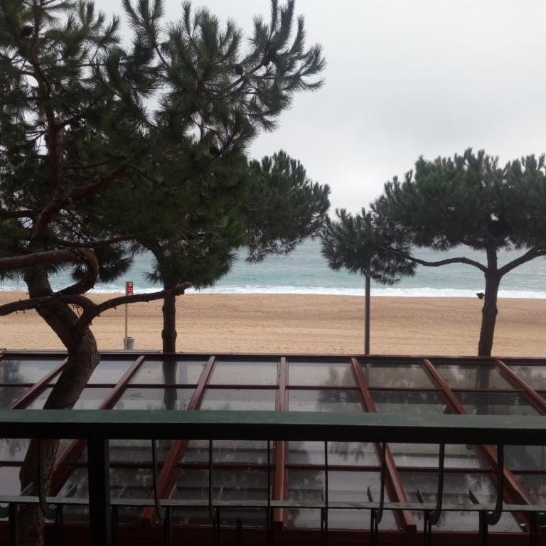 Embajador 1 Apartament per 4 persones a primera linia de mar - Apartamento de 2 dormitorios - 1