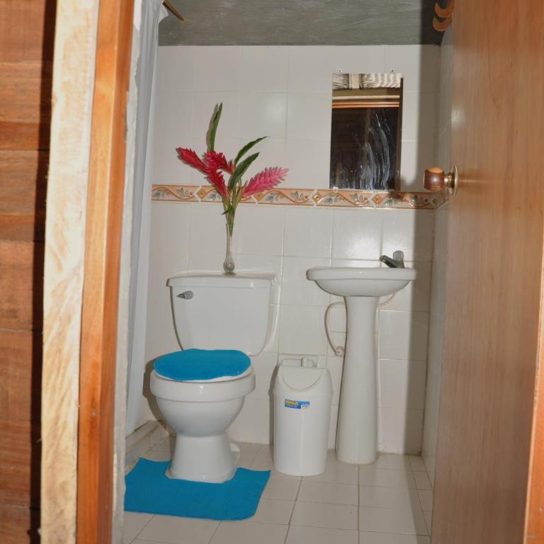 Posadas Ecoturisticas Seineken - Bungalow - 17