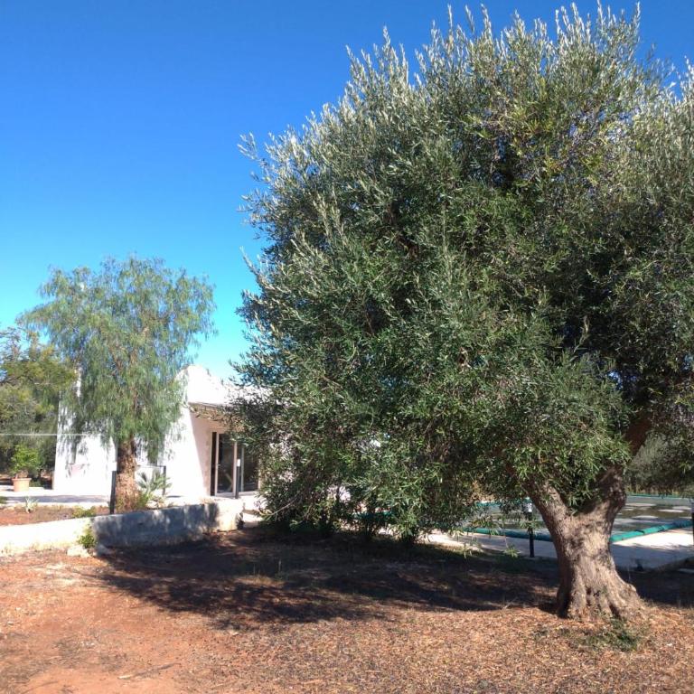 Trullo Felice - Casa con 3 Camere da Letto - 19