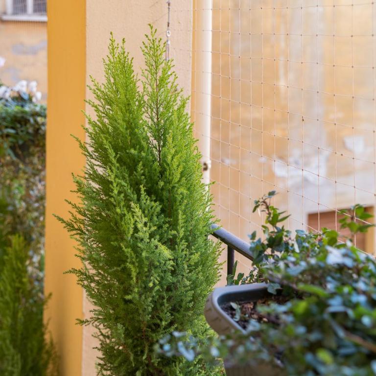 La Colombina - Double Room with Private Bathroom - 15