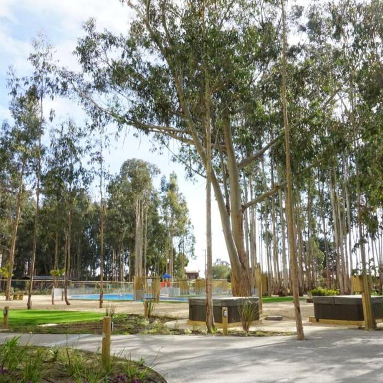 Hermoso y nuevo departamento en Algarrobo Norte - Apartamento de 3 dormitorios - 24