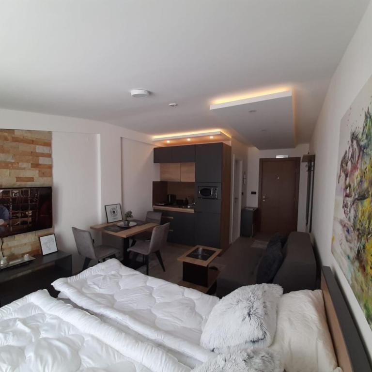 TeonaLux Milmari Resort P84 - Studio - 41