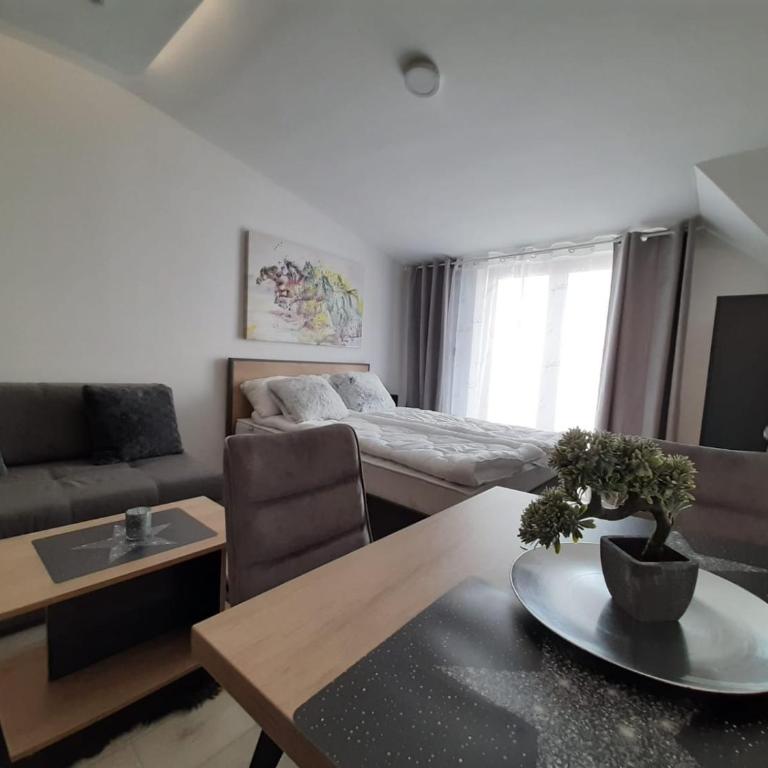 TeonaLux Milmari Resort P84 - Studio - 62