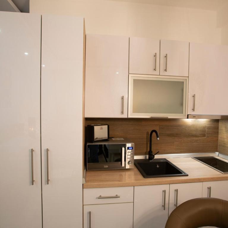 Dream Lux Apartman Kopaonik - Deluks Studio sa Bračnim Krevetom (King-size) - 12