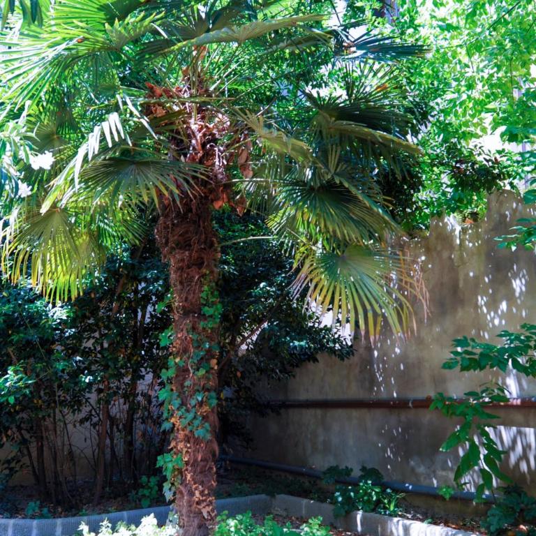 Acacia Firenze Apartments Artemisia-Angelica - Appartamento con Giardino - 13