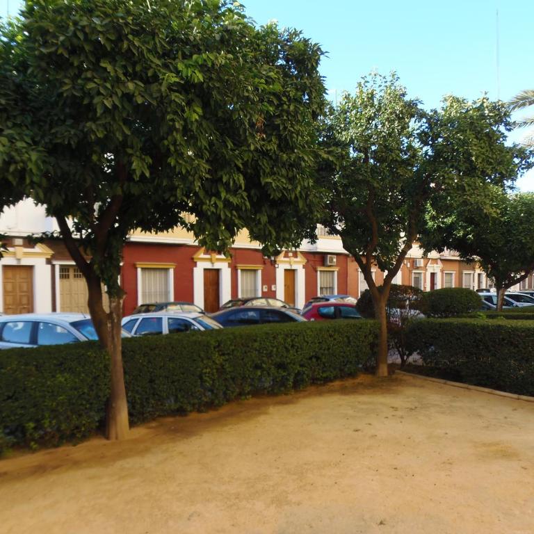 Apartamento en Triana - Apartamento - 2