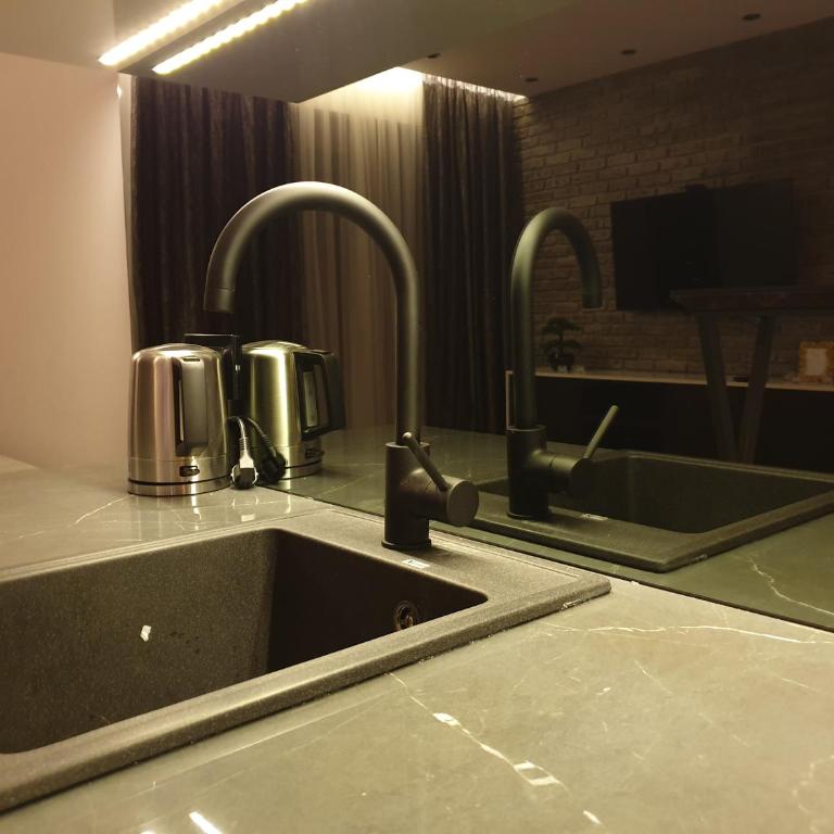 Luxury Spa Suite - Apartman sa 1 Spavaćom Sobom - 19