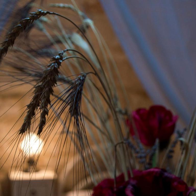 Il Trullo Pellegrini - Casa Vacanze - 5